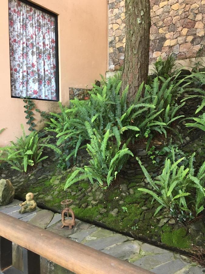 Mi Casa De Valle บาเญเดบราโว ภายนอก รูปภาพ
